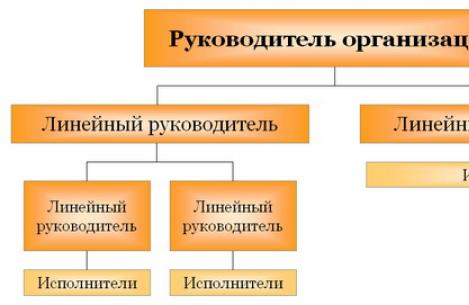 Vlastnosti výberu organizačnej štruktúry riadenia podniku Organizačná štruktúra riadenia